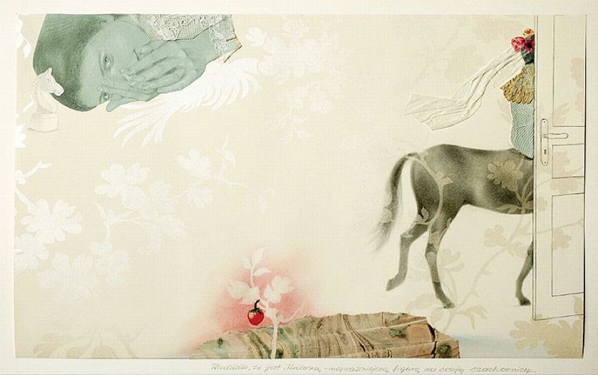 Obrazkowe książki Chmielewskiej