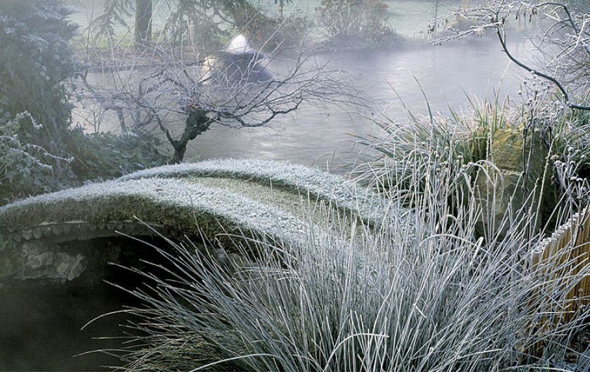 Zima w japońskim ogrodzie