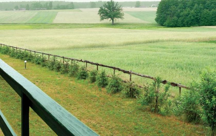 Widok na pola, łąki, drzewa i las. Urządzony z pomocą... aniołów