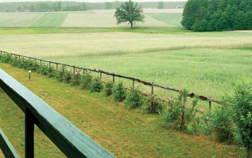 Widok na pola, łąki, drzewa i las. Urządzony z pomocą... aniołów