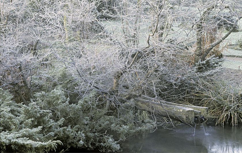 Zima w japońskim ogrodzie
