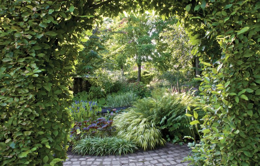 Ogród w Holandii: trochę w cieniu, trochę w słońcu