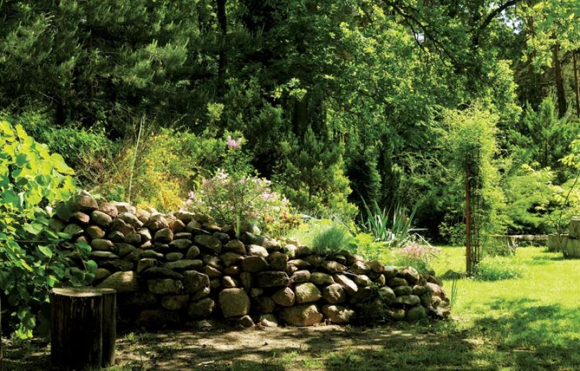 Ze zbieranych przez Monikę powstal w końcu imponujący skalniak.