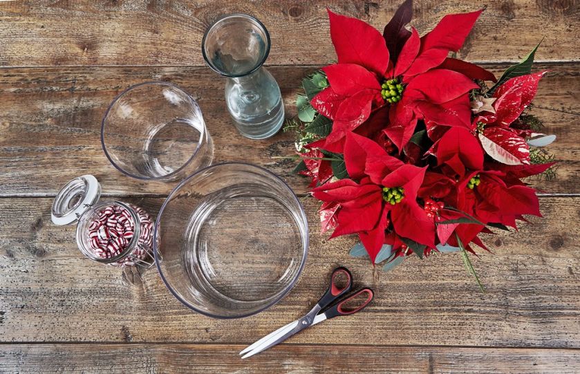 Dekoracje świąteczne DIY – gwiazda betlejemska i ozdoby w wazonach
