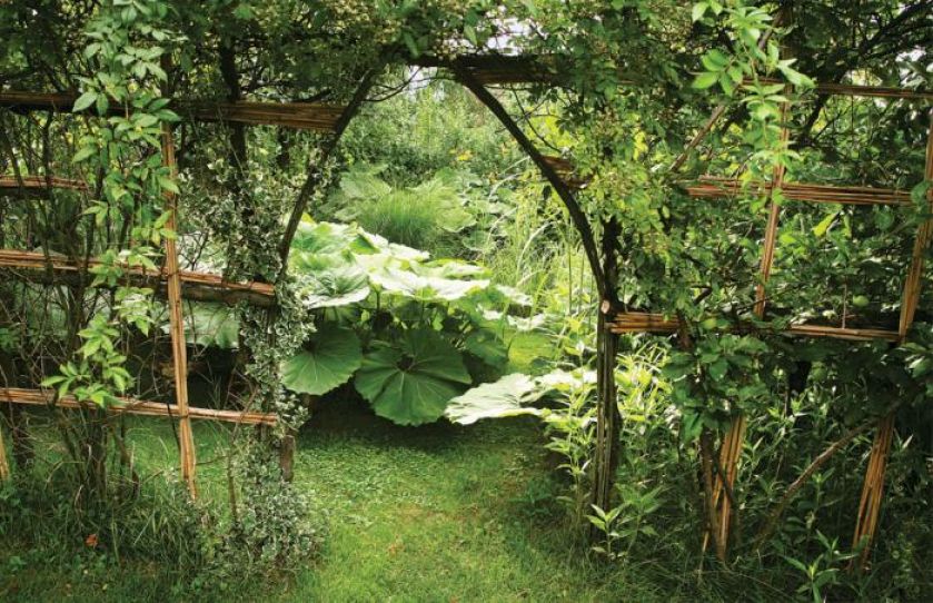 Za otwartą bramką obrośniętą biało-zieloną trzmieliną, widać dorodne liście lepiężników.