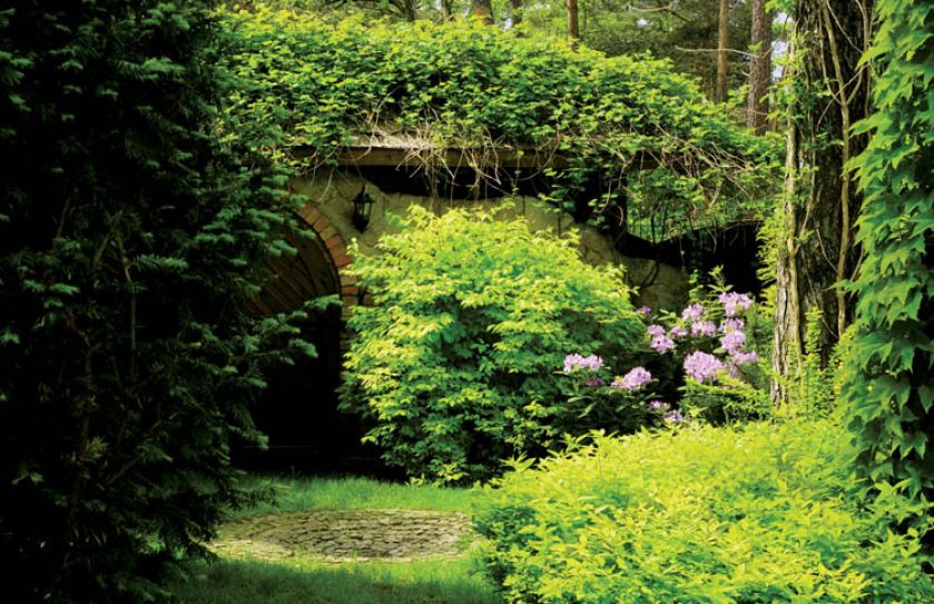 Przed drzwiami ziemianki rośnie kalina i kwitnący na fioletowo rododendron.