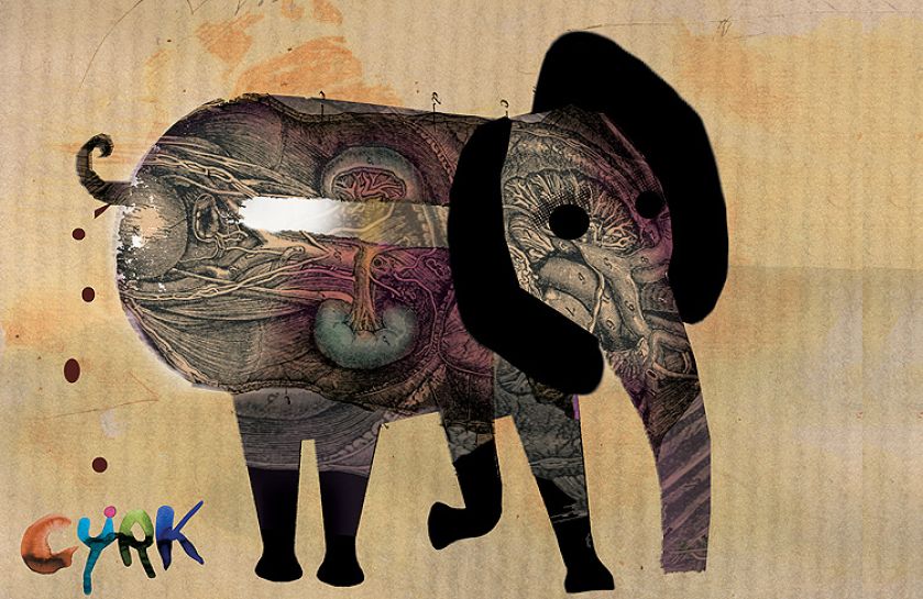 Cyrk - słoń , 2009 r. Kolaże z przeszłości Kai Renkas