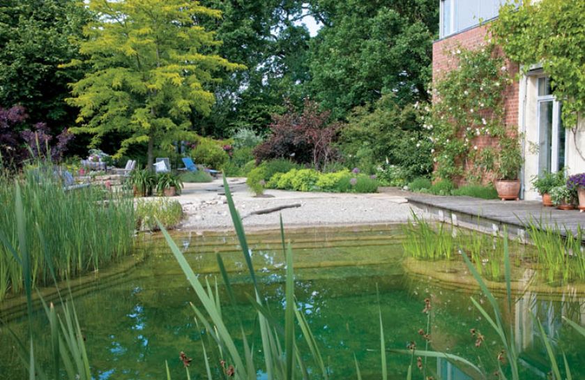 Staw pozwala wypocząć w upalne dni. Sielanka nad strumieniem