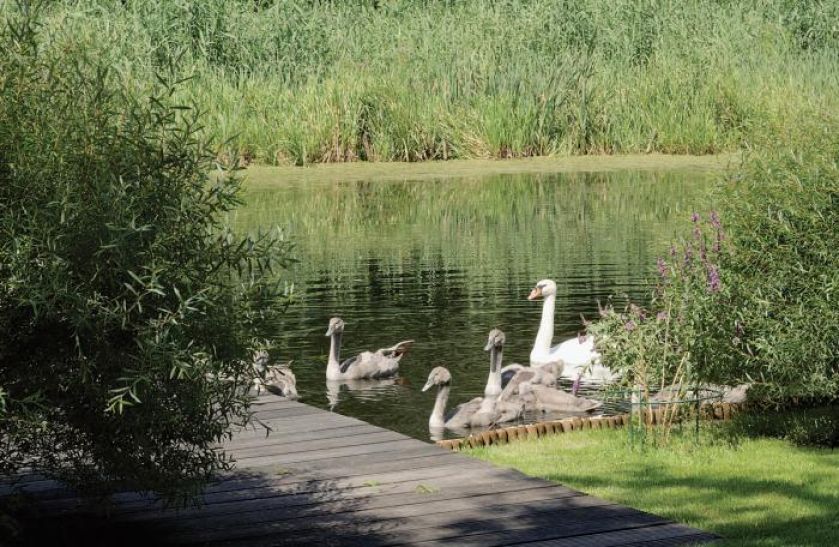 Goście regularnie odwiedzający ogród.