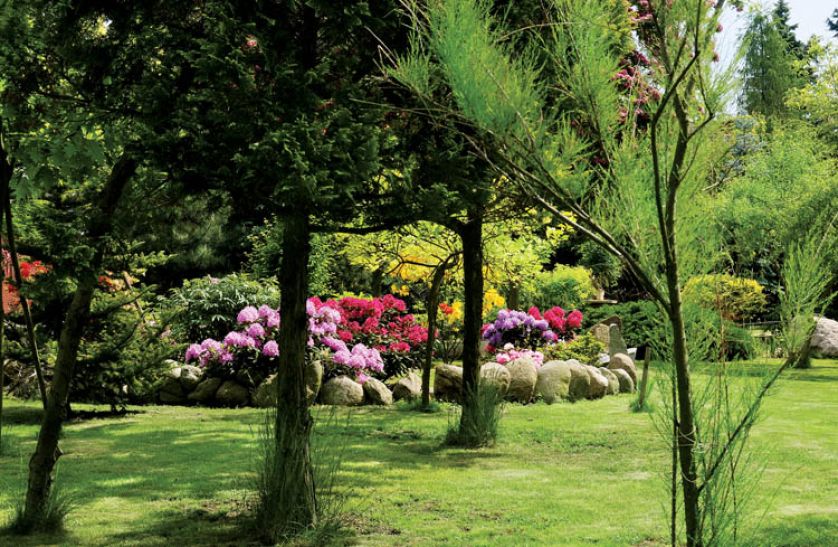 Na okolonym polnymi kamieniami klombie kwitną azalie i różaneczniki.