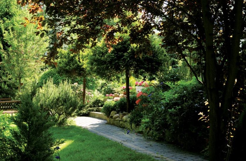 Cyprysy u stóp schodów wyglądają jak eleganckie filary. Dopelnieniem dekoracji są sezonowe kwiaty w donicach