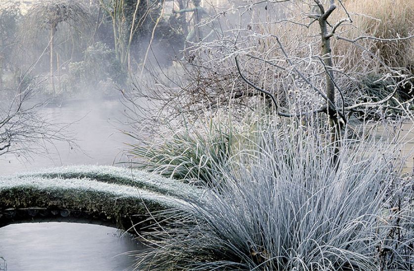 Zima w japońskim ogrodzie