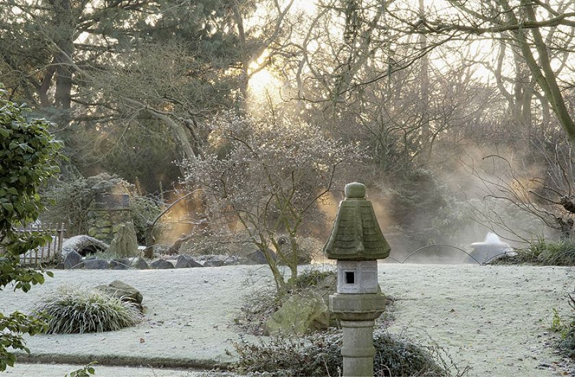 Zima w japońskim ogrodzie