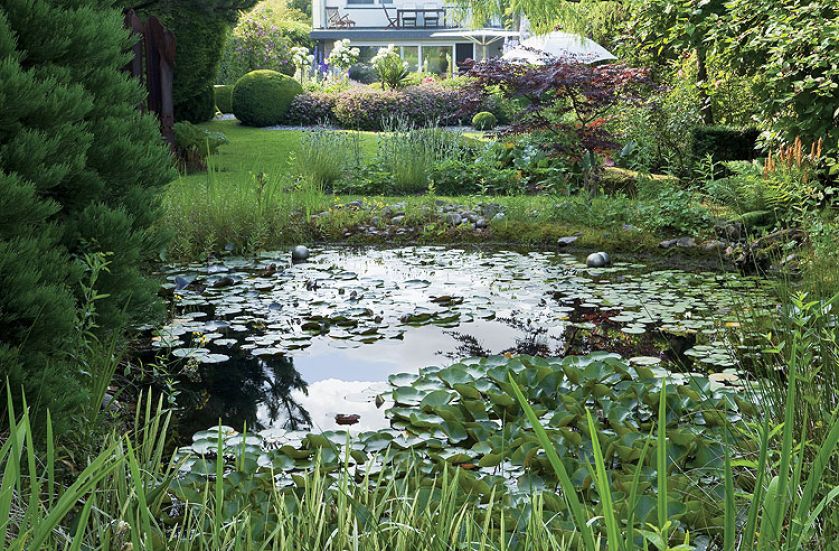 Z prowadzonego pod linijkę ogród staje się dziki, nieokiełznany.