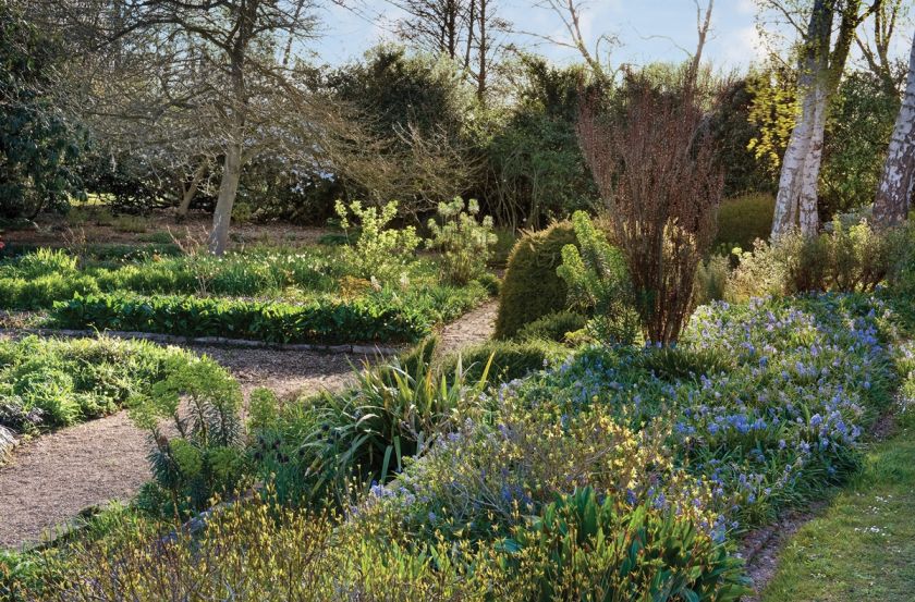 ogród angielski aranżacja