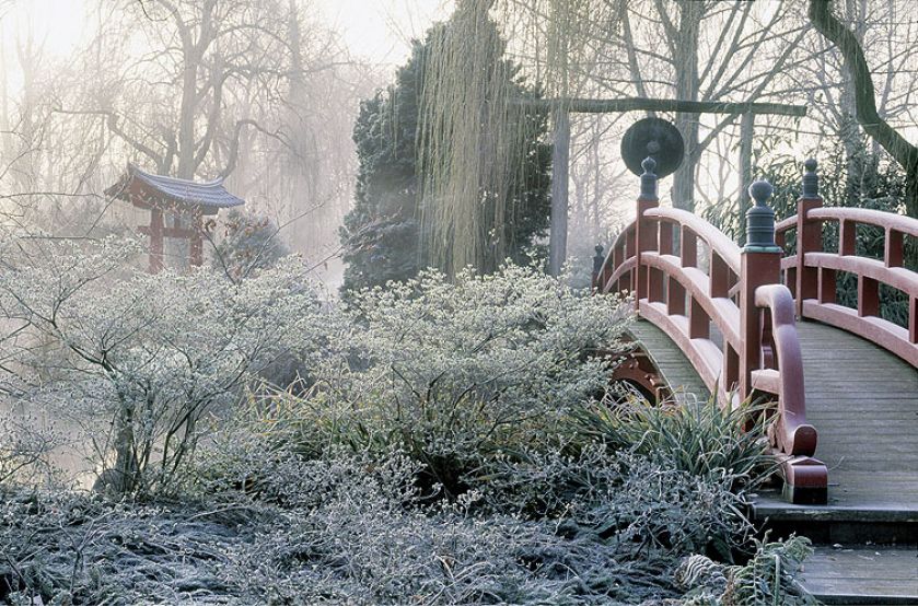 Zima w japońskim ogrodzie
