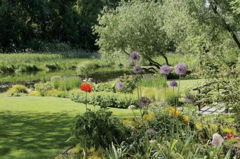 Brzeg Wilanówki zabezpieczono drewnem i faszyną.