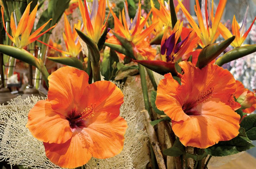 Dekoracje na stoisku włoskiej firmy Enzo de Gasperi