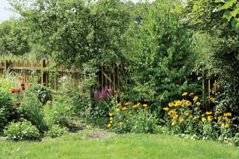 Ogród jako improwizacja. Czym pachnie lato