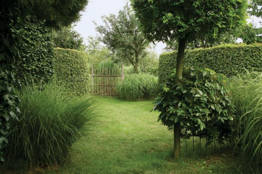 Ogród pełen traw i żywopłotów