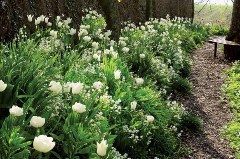 Zapraszamy kwiaty do ogrodu