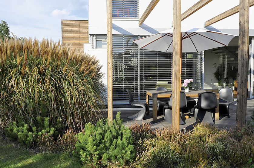 Drewno i kępy traw. Pióropusze traw