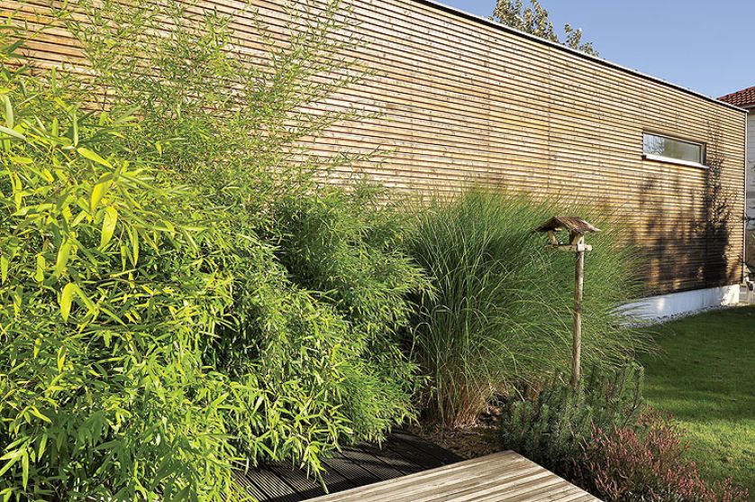 Drewno i zieleń. Pióropusze traw