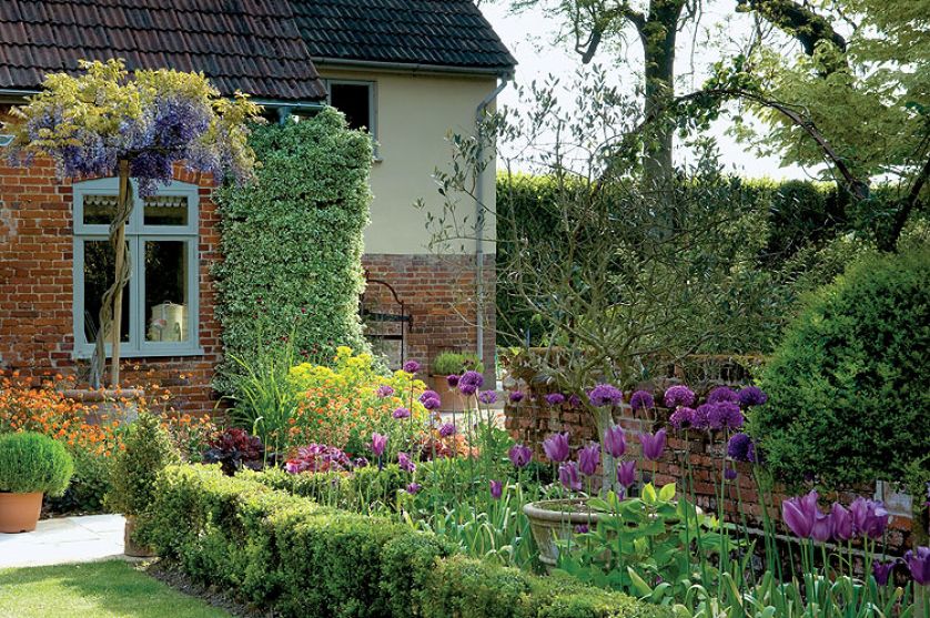 Wśród róż i wisterii