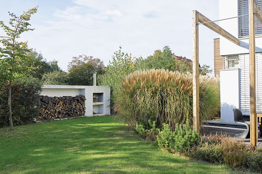 Idealny w lecie. Pióropusze traw