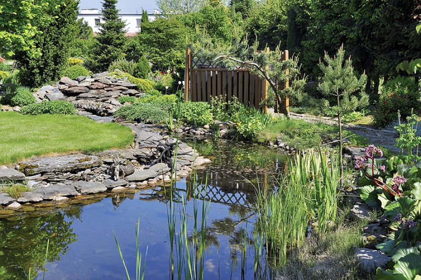 Kamień i woda. Kamień, ogród, woda, kamienie w ogrodzie