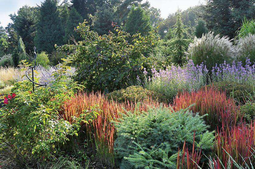 Kto szuka pomysłu na własny ogród, powinien zajrzeć na Dolny Śląsk do Wojsławic.