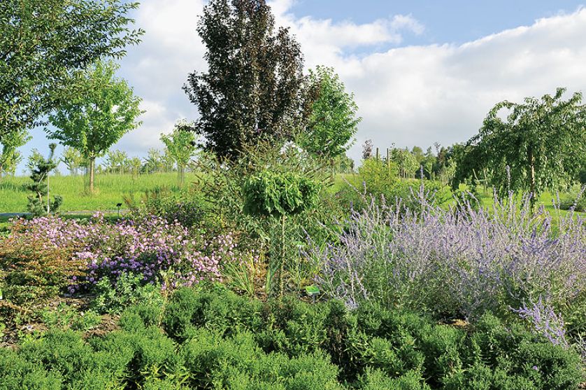 Kto szuka pomysłu na własny ogród, powinien zajrzeć na Dolny Śląsk do Wojsławic.