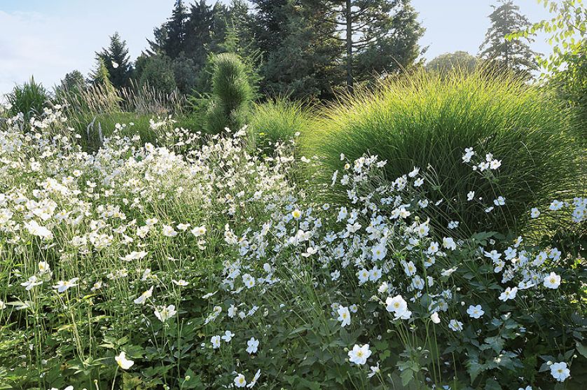 Kto szuka pomysłu na własny ogród, powinien zajrzeć na Dolny Śląsk do Wojsławic.