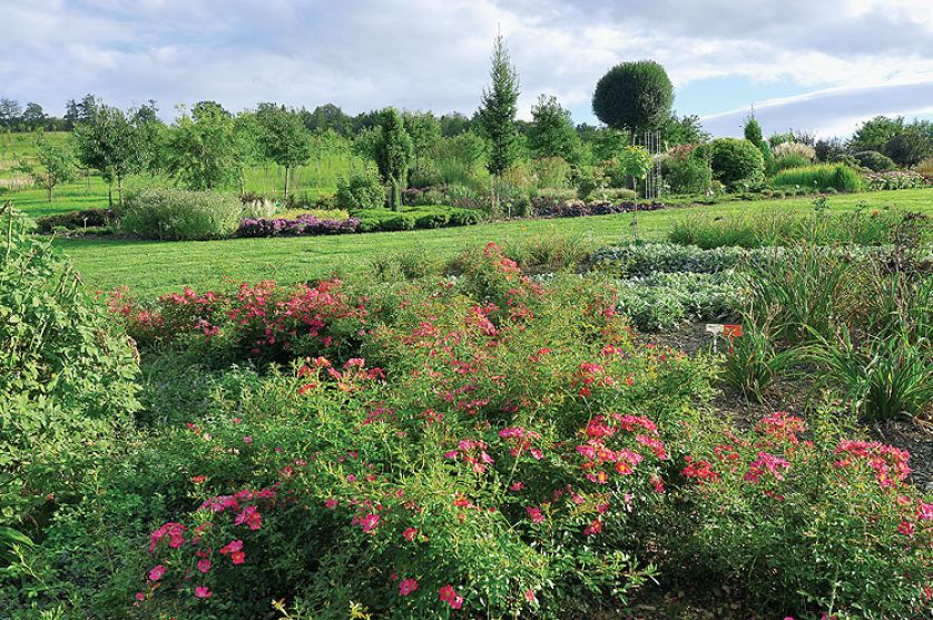 Kto szuka pomysłu na własny ogród, powinien zajrzeć na Dolny Śląsk do Wojsławic.