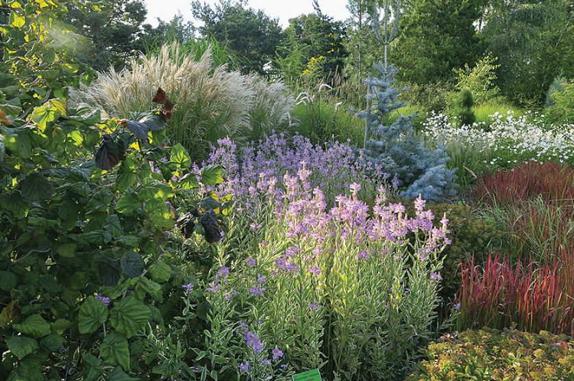 Kto szuka pomysłu na własny ogród, powinien zajrzeć na Dolny Śląsk do Wojsławic.