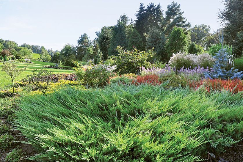 Kto szuka pomysłu na własny ogród, powinien zajrzeć na Dolny Śląsk do Wojsławic.