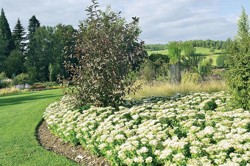 Kto szuka pomysłu na własny ogród, powinien zajrzeć na Dolny Śląsk do Wojsławic.