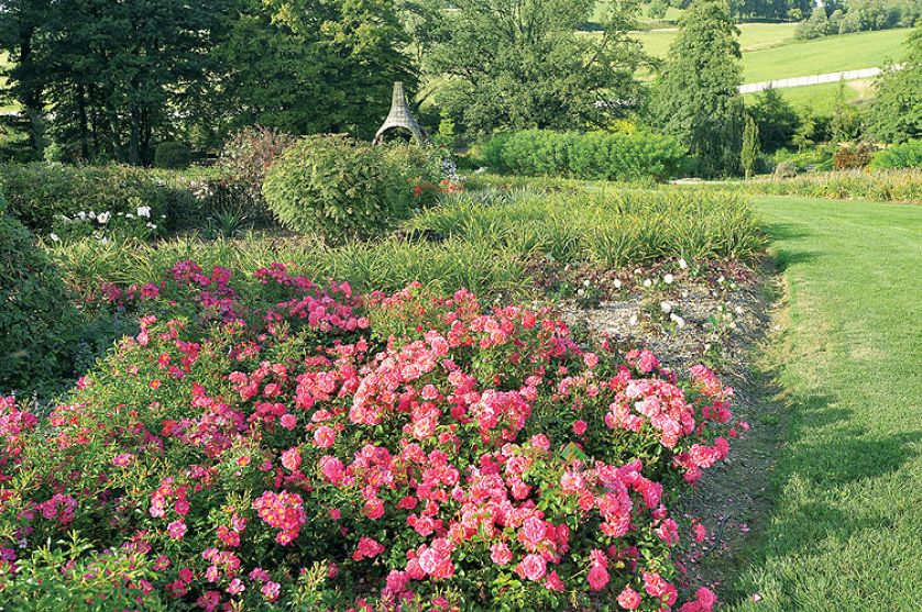 Kto szuka pomysłu na własny ogród, powinien zajrzeć na Dolny Śląsk do Wojsławic.