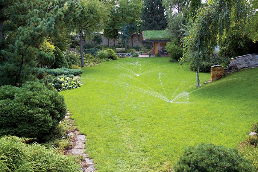 Najpierw można podumać nad strumykiem. Potem poczytać na ławce przy fontannie. A na koniec pooglądać karpie w stawie. Ten