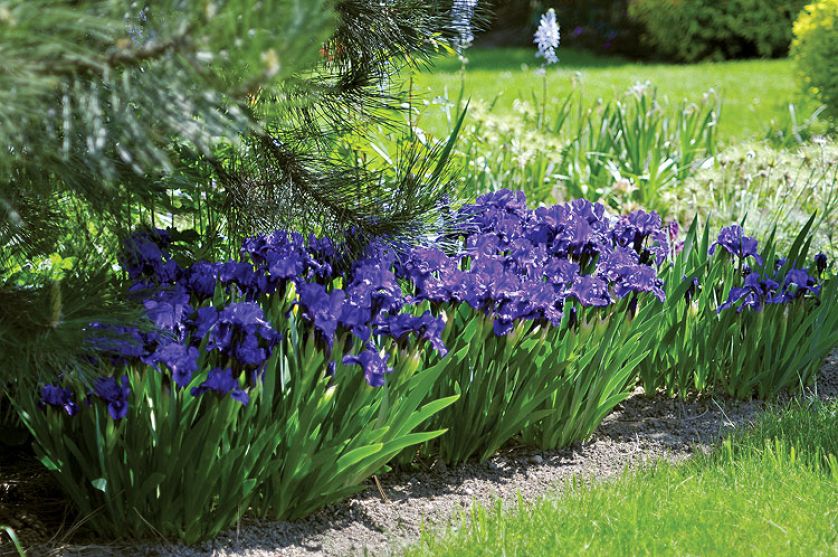 Ogród jest ucztą dla oczu i ducha. Kamień i woda