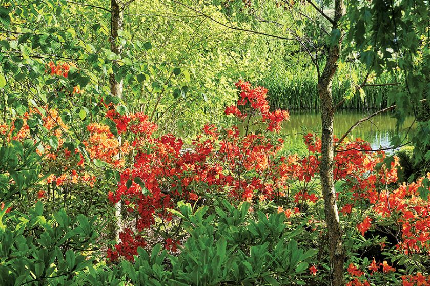 Ogród ze stawem, altankami i ławeczkami do dumania.