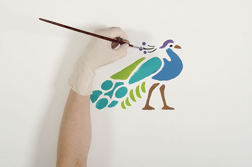 Płochliwy, krzykliwy, z wachlarzem bajecznych pi oacute r na ogonie i zawadiackim czubkiem na głowie. O tym,