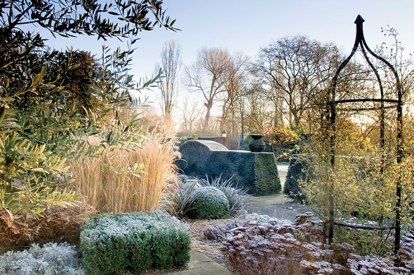 Rośliny jednoroczne są specjalnie zostawiane w ziemi na czas mrozów, jeśli tylko, jak powiada ogrodnik,