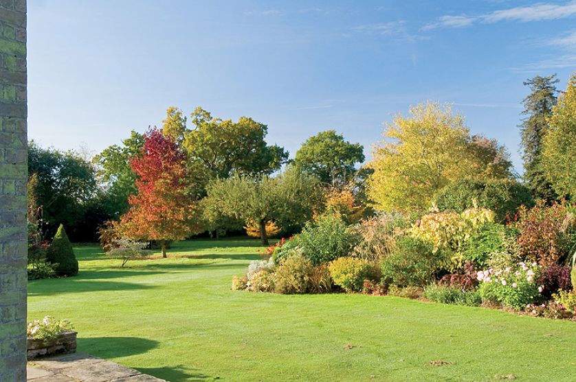 Różowe dalie to jedyne kwiaty w ogrodzie. Towarzyszy im ozdobna trawa ostnica olbrzymia.