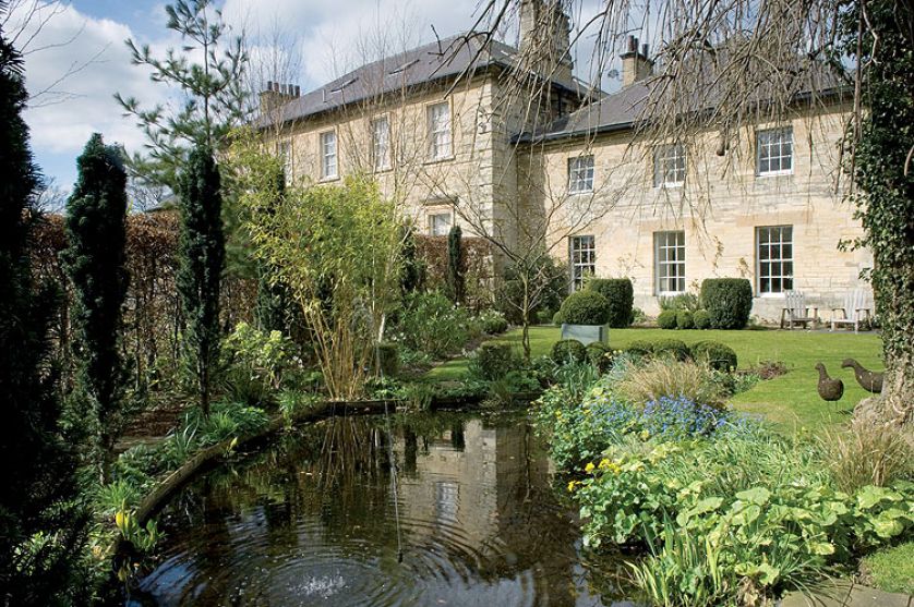 Stawik obrośnięty kaczeńcami i sitowiem.