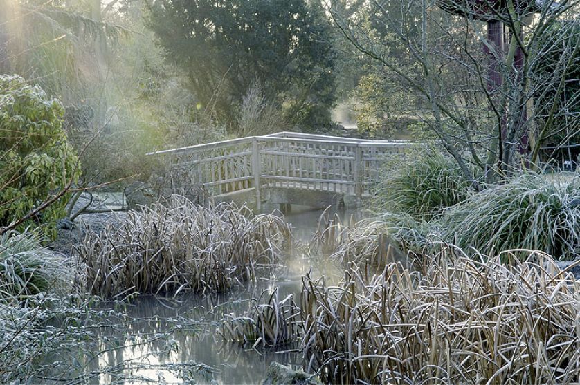 Zima w japońskim ogrodzie