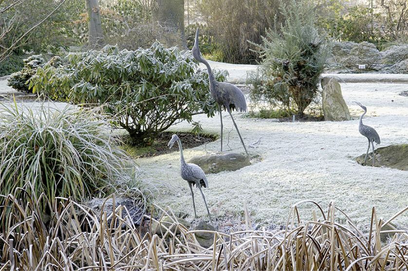 Zima w japońskim ogrodzie