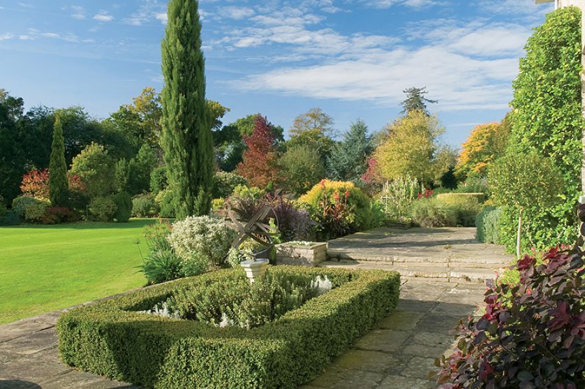 Tłem dla krzewów stały się majestatyczne drzewa, które jesienią przebarwiają się na milion kolorów.