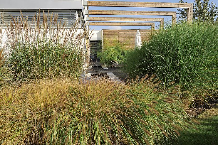 Trawy to był genialny pomysł, bo są łatwe w utrzymaniu