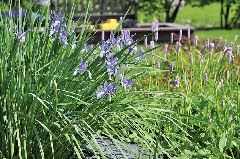 W ogrodzie bawią się też wnuki. Kamień i woda